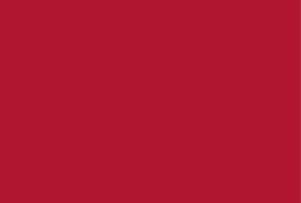 Nucleo Solid Red